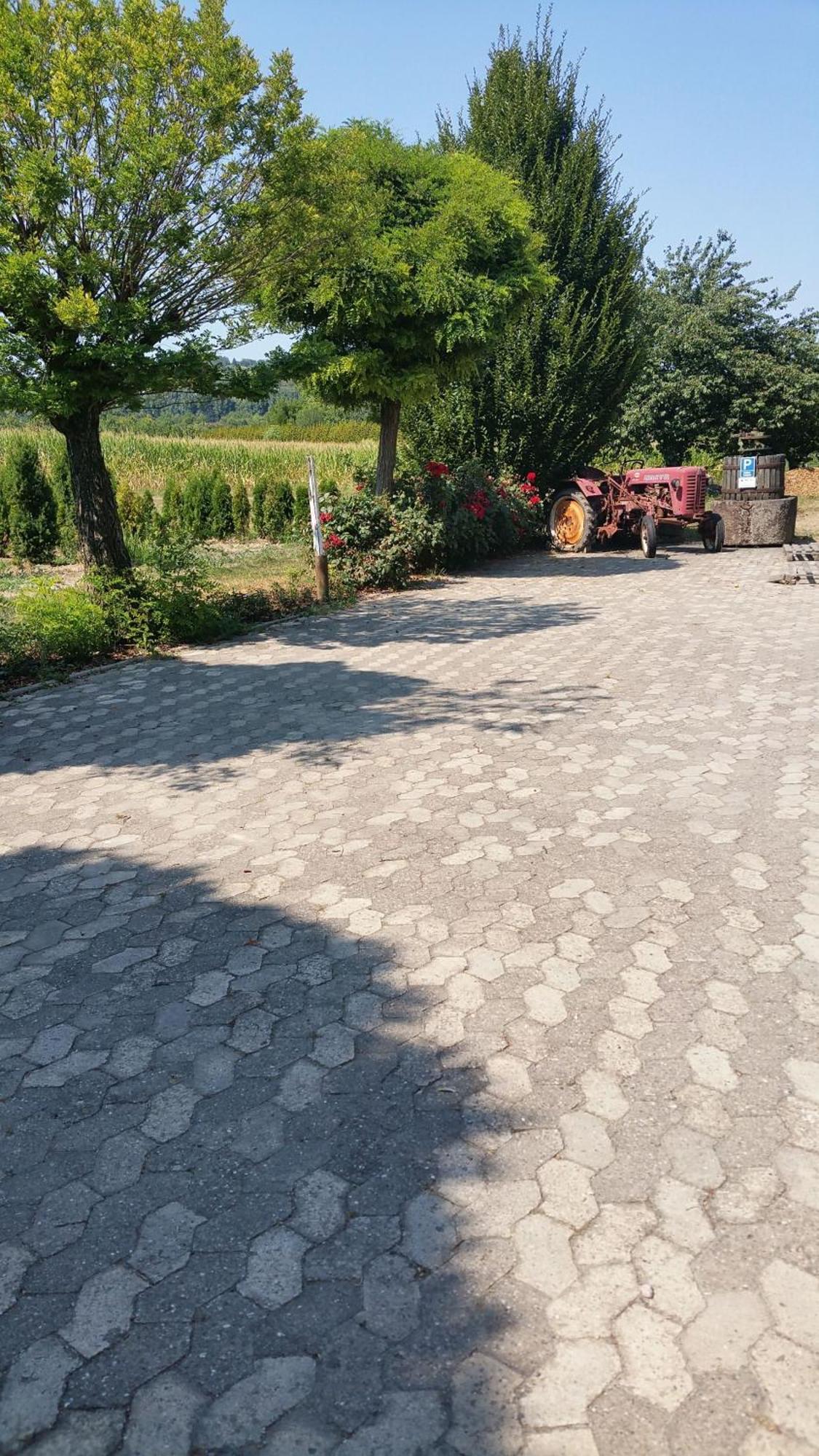 Ferienwohnung Rombachs Spatzennest Herbolzheim Exteriér fotografie